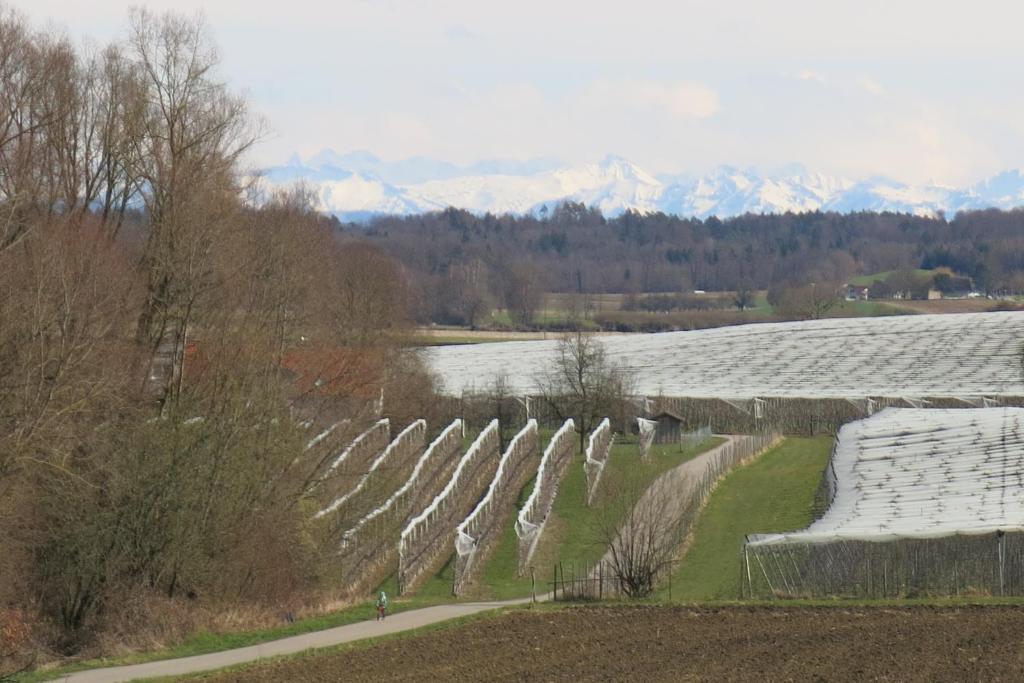 Ferienwohnung Haag room 6